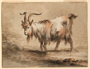 Dessin, Étude d