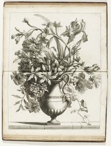 Vase de fleurs - Jean Baptiste Monnoyer