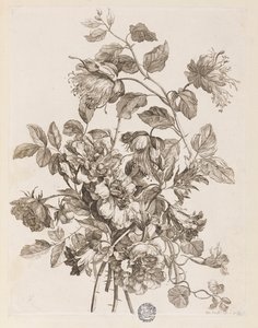 Planche de "Le Livre de toutes sortes de fleurs d