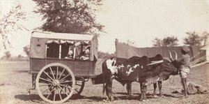 [Les jumeaux Campbell dans un Shigram, Camp du Gouverneur Général], 1858-61 - Jean Baptiste Oscar Mallitte