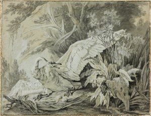 Un cygne sauvage attaqué par un chien - Jean Baptiste Oudry