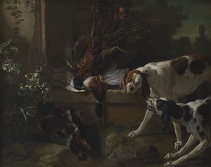 Chiens avec gibier et volaille