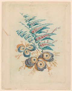 Motif floral fantastique de Nouvelle Suitte de Cahiers de Fleurs Idéales - Jean Baptiste Pillement