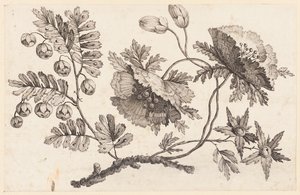 Branche de fleurs, de "Recueil de Fleurs Chinois"