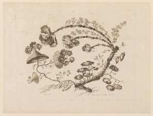 Branches fleuries, de "Recueil de Différentes Fleurs de Fantaisie Dans le Goût Chinois" - Jean Baptiste Pillement