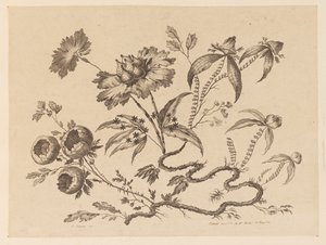 Brindilles de fleurs, de "Recueil de Differentes Fleurs de Fantaisie Dans le Goût Chinois" - Jean Baptiste Pillement