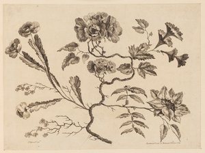Branches de fleurs, de "Recueil de Différentes Fleurs de Fantaisie Dans le Goût Chinois"