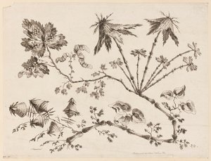 Branche de fleurs, de "Recueil de Différentes Fleurs de Fantaisie Dans le Goût Chinois" - Jean Baptiste Pillement