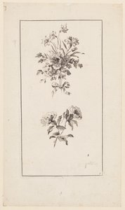 Branches de fleurs, de "Divers Bouquets d