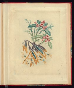 Motif ornemental avec petites fleurs rouges et baies, de Nouvelle suite de cahiers de fleurs naturelles à l