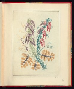 Conception ornementale avec des feuilles triangulaires pourpres et rouges, de Nouvelle suite de cahiers de fleurs naturelles à l