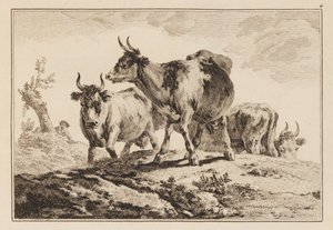 Planche 4, de "Cahier de six feuilles de bœufs et vaches" - Jean Baptiste Pillement