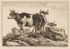 Planche 6, de "Cahier de Six Feuilles de Bœufs et Vaches" - Jean Baptiste Pillement