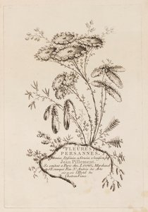 Page de titre, de "Fleures Persannes" - Jean Baptiste Pillement