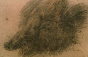 Tête de sanglier - Jean Baptiste Simeon Chardin