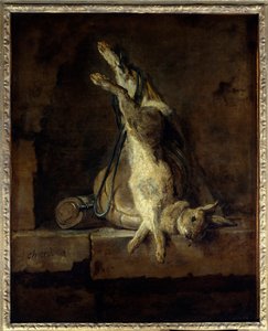 Le lapin mort et les accessoires de chasse