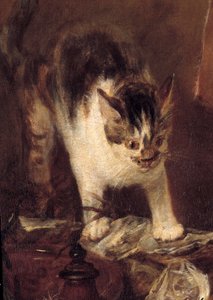 Nature morte avec raie, poissons, huîtres, cruche. Détail du chat