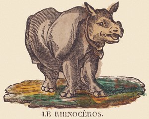 Le rhinocéros, c.1840-1852 - Jean Baptiste Thiebault