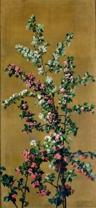 Cerisier japonais et branches d