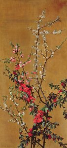 Cerisier japonais et branches d