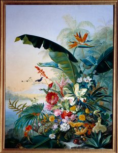 Fleurs exotiques