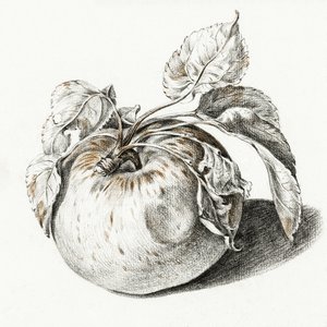 Apple - Jean Bernard