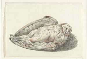 Hibou mort - Jean Bernard