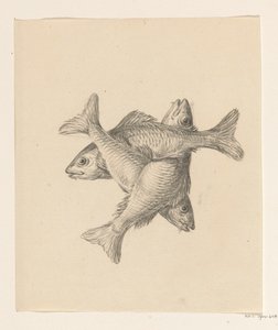Trois petits poissons disposés en croix - Jean Bernard