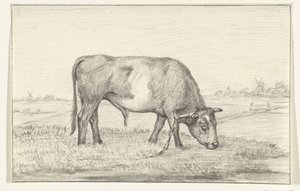 Taureau broutant dans un pré, vers la droite - Jean Bernard