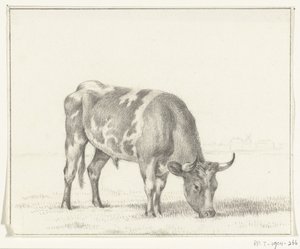 Taureau broutant, vers la droite - Jean Bernard