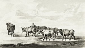 Groupe de six taureaux - Jean Bernard