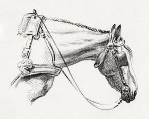 Tête de cheval (1820) - Jean Bernard