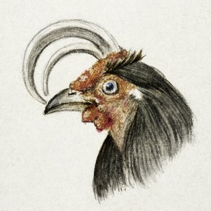 Tête de coq (1816) - Jean Bernard