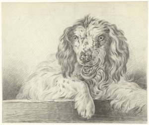 Chien - Jean Bernard