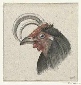 Tête d