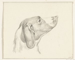 Tête de chien, vers la droite - Jean Bernard