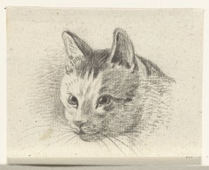 Tête de chat - Jean Bernard