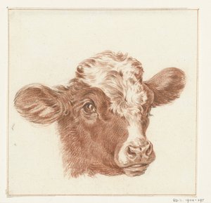 Tête de vache - Jean Bernard