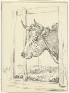 Tête de vache, dans une étable, vers la gauche - Jean Bernard