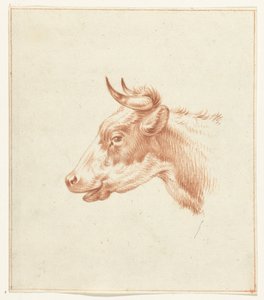 Tête de vache, vers la gauche - Jean Bernard