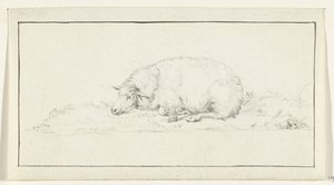 Mouton couché, vers la gauche