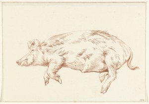 Cochon couché, vers la gauche - Jean Bernard