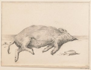 Cochon couché, vers la droite - Jean Bernard