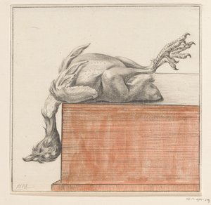 Oiseau mort couché, la tête pendante
