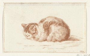 Chat couché, vers la gauche