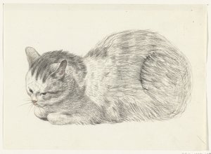 Chat couché, vers la gauche - Jean Bernard