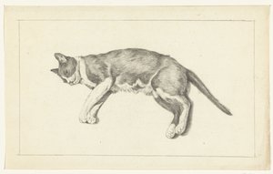Chat couché, vu de gauche, de dessus - Jean Bernard