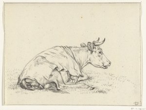 Vache couchée, vers la droite