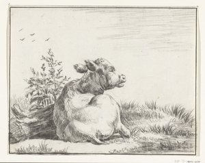 Vache couchée, de dos - Jean Bernard