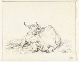 Vache couchée, de face - Jean Bernard